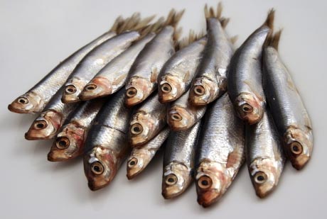 Сезон морепродуктов и морской рыбы. Апрель - июнь 
