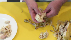 Insalata di pollo 8