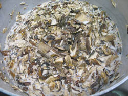 Timballo di orzo e formadi frant con infuso di porcini 3