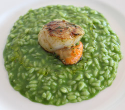 Risotto con sclopit e capesante 10